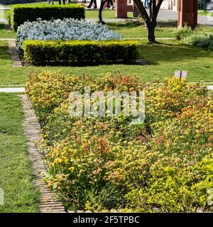 Sunder nursery est un parc du XVIe siècle situé près du tombeau d'Humayun, dans l'Inde de New Delhi. Ces fleurs colorées augmentent la gloire et Banque D'Images