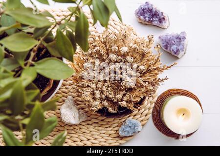 Rose de Jéricho, Selaginella lepidophylla également appelé usine de Résurrection dans la maison à l'intérieur du bol d'eau, décoré avec des bougies et des cristaux. Banque D'Images