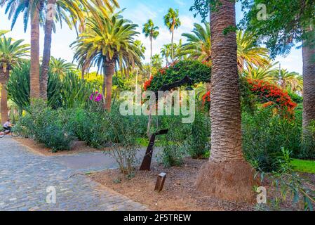 Parc de Garcia Sanabria à Santa Cruz de Tenerife, îles Canaries, Espagne. Banque D'Images