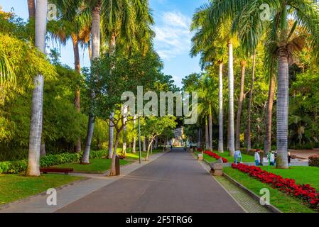 Parc de Garcia Sanabria à Santa Cruz de Tenerife, îles Canaries, Espagne. Banque D'Images