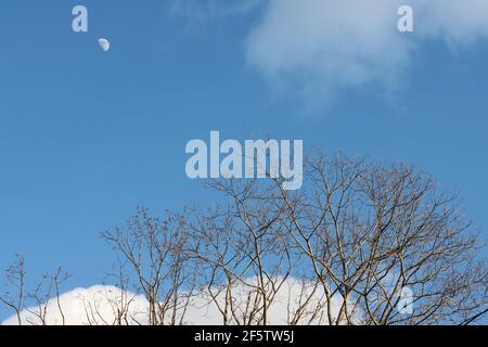 Premier quart de lune dans le ciel nuageux du soir Banque D'Images