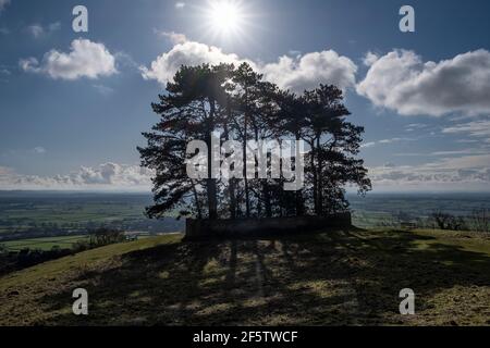 L'enceinte de l'arbre de la colline de Wotton au-dessus de la ville de Wotton-Under-Edge sur le sentier national de Cotswold Way. Banque D'Images