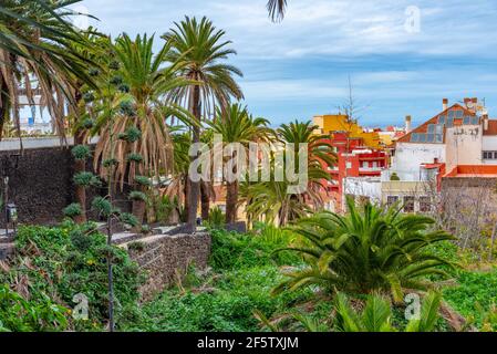 Parc Taoro à Puerto de la Cruz, Tenerife, îles Canaries, Espagne . Banque D'Images