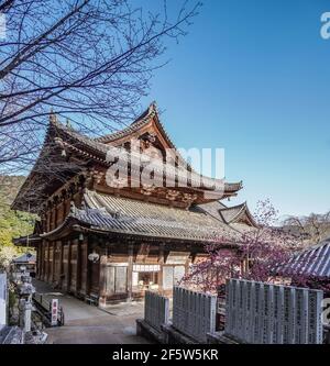 Temple Hase-dera, temple bouddhiste à Sakurai, Nara, Japon Banque D'Images