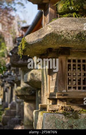 Lanternes de pierre japonaises sous le soleil printanier au Grand Sanctuaire de Kasuga Taisha, un sanctuaire shinto et site classé au patrimoine mondial de l'UNESCO à Nara, au Japon Banque D'Images