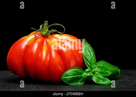 Coeur de boeuf, coeur de boeuf (Solanum lycopersicum), Cuore di bue, viande, meatTomato, basilic Banque D'Images