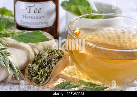 Herbe d'avoine, paille d'avoine, ortie, manteau de lady alpine (Avena sativa) (Urtica dioica) (Alchemilla alpina), thé d'avoine verte Banque D'Images