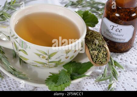 Herbe d'avoine, paille d'avoine, ortie, manteau de lady alpine (Avena sativa) (Urtica dioica) (Alchemilla alpina), thé d'avoine verte Banque D'Images