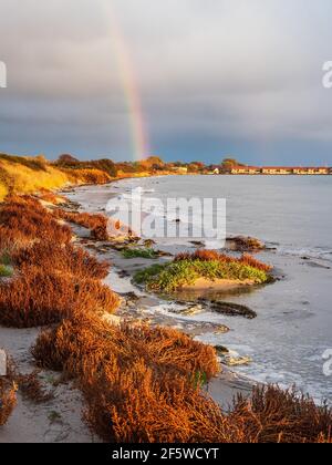 Côte de la mer Baltique sur l'île de Moen au Danemark. Banque D'Images