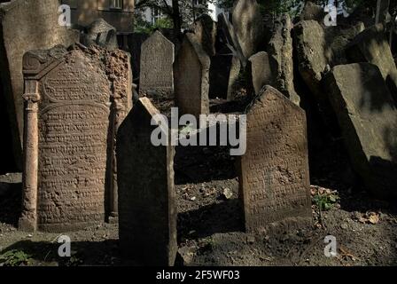 Certaines des 12,000 pierres tombales anciennes à l'intérieur des murs de l'ancien cimetière juif dans le quartier juif ou Josefov de Prague, capitale de la Tchéquie / République tchèque, présentent des caractéristiques architecturales telles que les pilastres, comme vu sur la pierre de tête à gauche de cette image. Les mémoriaux visibles cachent environ 100,000 000 inhumations dans 12 niveaux souterrains, construits sur près de 350 ans, mais quelques pierres tombales anciennes ont été soulevées au niveau du sol au fur et à mesure que les couches se sont constituées. Alors que certains portent seulement des inscriptions hébraïques, des exemples ultérieurs montrent des symboles qui font allusion au nom, au caractère ou au commerce du défunt. Banque D'Images