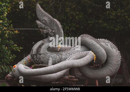 Sculpture de Dragon ou Serpent ou Naga légendaire animal de Thaïlande à Wat Kham Chanod 2 en Thaïlande Banque D'Images