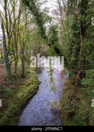 La rivière West Okement, qui coule vers une jonction avec la rivière East Okement dans la ville d'Okehampton, Devon, Royaume-Uni. Banque D'Images