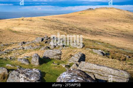 Vue vers le nord le long de Belstone Ridge depuis Oke Tor vers, Higher Tor et Belstone Tor, parc national de Dartmoor, Devon, Angleterre, Royaume-Uni. Banque D'Images