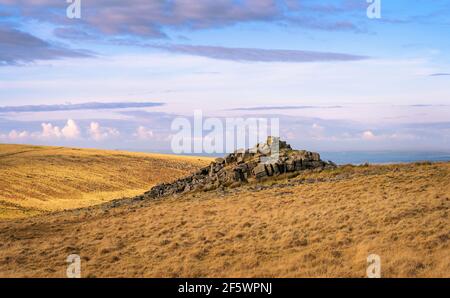 Winter Tor est un petit détracteur sur Belstone Ridge, surplombant la vallée de l'East Olement River, parc national de Dartmoor, Devon, Angleterre, Royaume-Uni. Banque D'Images