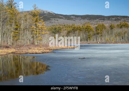 L'une des montagnes les plus gravi des États-Unis. Monadnock et sa gamme se trouvent derrière Perkins Pond, Troy, New Hampshire. Super pays et faune. Banque D'Images