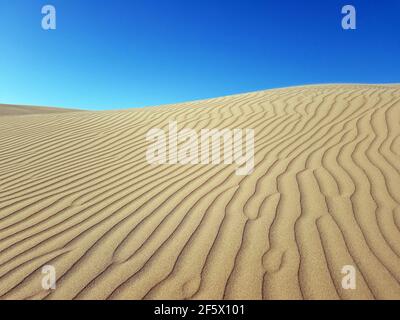 de magnifiques dunes de sable désertiques avec un ciel bleu en arrière-plan. le vent ondule les lignes ou les vagues se répercutent sur les sables de près. Banque D'Images