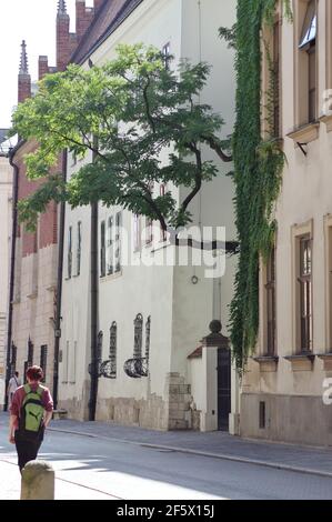 Rue Sainte-Anna, Cracovie, Pologne - 04 septembre 2020 ; sur la droite, les bâtiments historiques du musée de l'université jagiellonienne. Banque D'Images