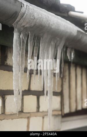Les glaçons suspendus à la gouttière, le résultat d'un débordement goutte à goutte d'un réservoir d'eau froide qui avait été coupé court à goutte, inaperçu dans la gouttière Banque D'Images
