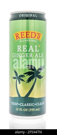 Winneconne, WI - 27 mars 2021 : une CAN de Reeds Real Ginger ALE sur un fond isolé Banque D'Images