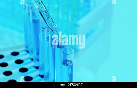 Recherche et analyse médicales. Le compte-gouttes remplit les flacons d'échantillon pour le test. Gros plan macro.laboratoire pharmaceutique Pipette goutte liquide bleu i Banque D'Images