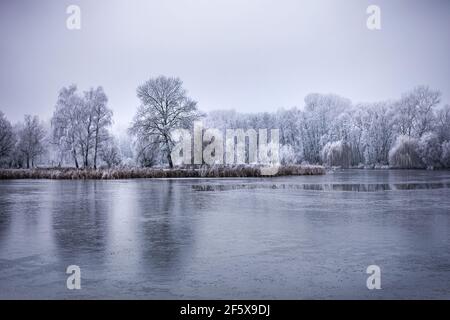 Lac gelé dans un paysage de forêt enneigée. Ciel blanc doux coucher de soleil lever de soleil lumière, nature blanche idyllique. Paysage d'hiver, nature saisonnière Banque D'Images