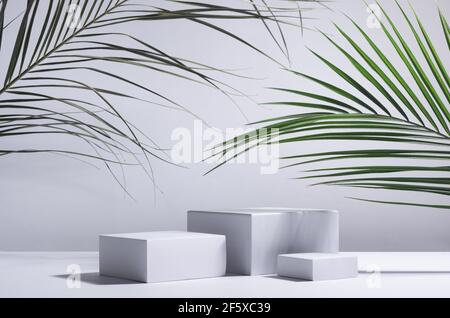 Vitrine moderne de l'été abstrait avec podiums carrés blancs en plein soleil avec ombre, feuille de palmier verte pour l'exposition de produits cosmétiques. Banque D'Images