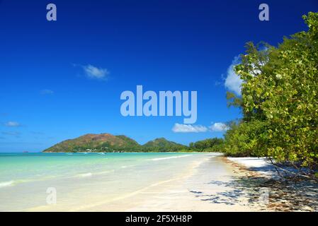 Plage de sable tropical Anse Volbert avec mer turquoise sur l'île de Praslin, Seychelles, Océan Indien, Afrique. Banque D'Images