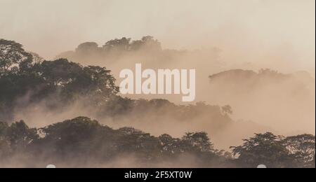 Paysage du Panama avec vue panoramique sur la forêt pluviale brumeuse en plein soleil du matin dans le parc national de Soberania, province de Colon, République du Panama. Banque D'Images