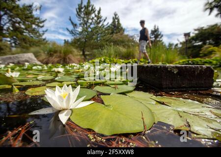 Jardins Miyazu, Nelson, Nouvelle-Zélande. Banque D'Images