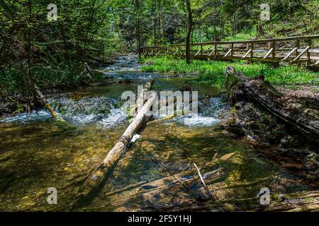 Weavers Creek Falls Owen Sound Ontario Canada au printemps Banque D'Images