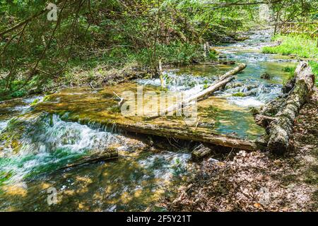 Weavers Creek Falls Owen Sound Ontario Canada au printemps Banque D'Images