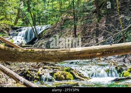 Weavers Creek Falls Owen Sound Ontario Canada au printemps Banque D'Images