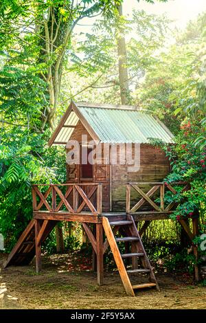 Treehouse pour les enfants un matin ensoleillé dans les bois Banque D'Images