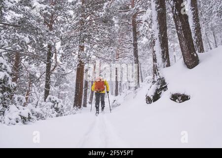 Jeune homme portant une veste de tourisme jaune et un sac à dos orange, skiant à travers une tempête de neige dans les bois de la Sierra de Guadarrama Banque D'Images