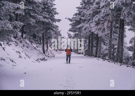 Jeune homme marchant sur un sentier couvert de neige pendant une tempête de neige en Sierra de Guadarrama, Madrid, Espagne Banque D'Images