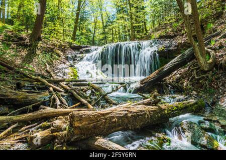 Weavers Creek Falls Owen Sound Ontario Canada au printemps Banque D'Images