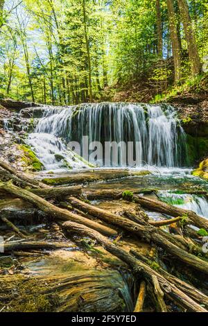 Weavers Creek Falls Owen Sound Ontario Canada au printemps Banque D'Images