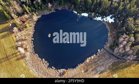 Photo aérienne avec drone au printemps de petit lac avec bernaches grises en bavière Banque D'Images