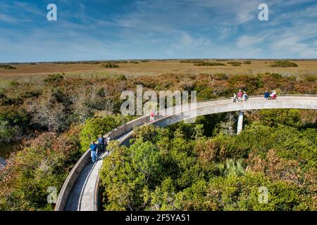 Une rampe circulaire monte jusqu'à la Tour d'observation avec vue sur des kilomètres de clairières à ciel ouvert à Shark Valley dans le parc national des Everglades en Floride. Banque D'Images