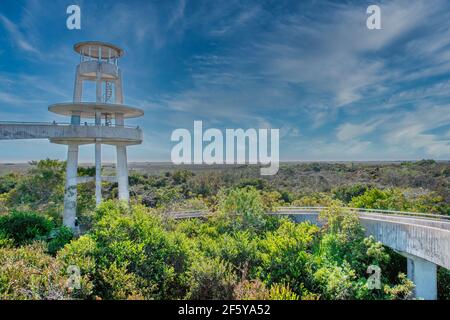 Une rampe circulaire monte jusqu'à la Tour d'observation avec vue sur des kilomètres de clairières à ciel ouvert à Shark Valley dans le parc national des Everglades en Floride. Banque D'Images