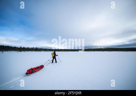 Ski de randonnée dans le parc national d'Urho Kekkonen, Sodankylä, Laponie, Finlande Banque D'Images