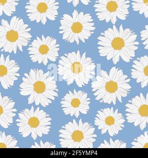 Motif vectoriel sans couture de fleurs de camomille jaune et blanc sur fond bleu clair. Imprimé décoratif pour le papier peint, l'emballage, le textile, le tissu. Illustration de Vecteur
