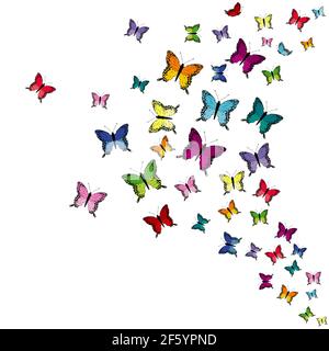 Papillons volants colorés isolés sur fond blanc Illustration de Vecteur
