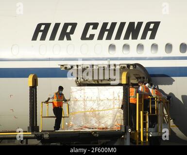 La Paz, El Salvador. 28 mars 2021. Les membres du personnel déchargent les vaccins Sinovac COVID-19 à l'aéroport de San Salvador, à San Salvador, en El Salvador, le 28 mars 2021. Le Salvador a reçu dimanche le premier lot de vaccins COVID-19 de la société pharmaceutique chinoise Sinovac, qui contribuera à accélérer le processus de vaccination dans le pays, ont indiqué les autorités locales. Crédit: Alexander Pena/Xinhua/Alay Live News Banque D'Images