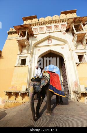 Le beau fort orange près de Jaipur, Inde. Banque D'Images