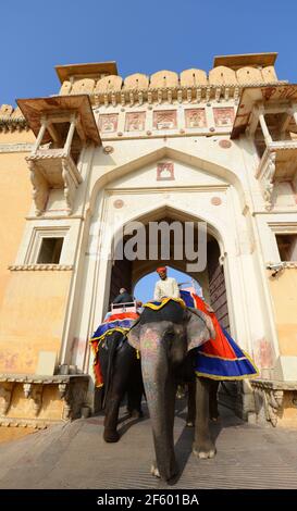 Le beau fort orange près de Jaipur, Inde. Banque D'Images