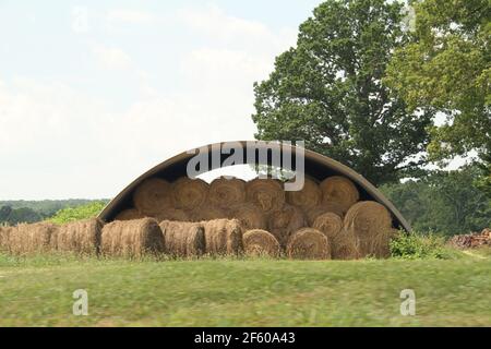Balles de foin sur un classé dans la campagne de Virginie, États-Unis Banque D'Images