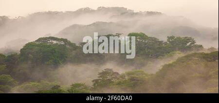 Paysage du Panama avec vue panoramique sur la forêt tropicale luxuriante et brumeuse du parc national de Soberania dans la lumière du matin, République du Panama. Banque D'Images