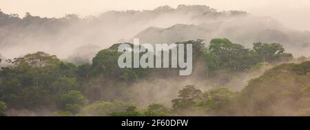 Paysage du Panama avec vue panoramique sur la forêt tropicale luxuriante et brumeuse du parc national de Soberania dans la lumière du matin, République du Panama. Banque D'Images