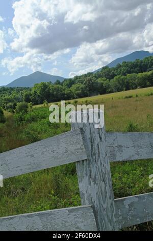 Paysage d'été en Virginie rurale, États-Unis, avec les Blue Ridge Mountains (Sharp Top) vu à l'arrière Banque D'Images